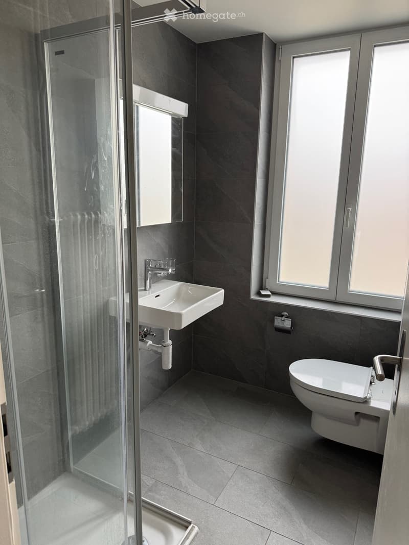 Bel appartement de 3.5 pièces entièrement rénové (4)