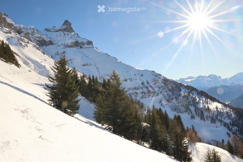 Chalet à vendre à Morcles 1200m (4)