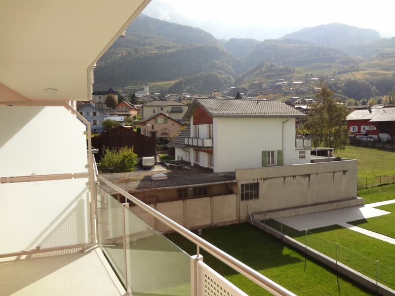 Charmant 3,5 pièces à vendre (2)