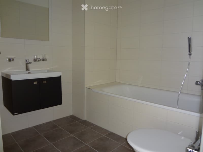 Charmant 3,5 pièces à vendre (3)