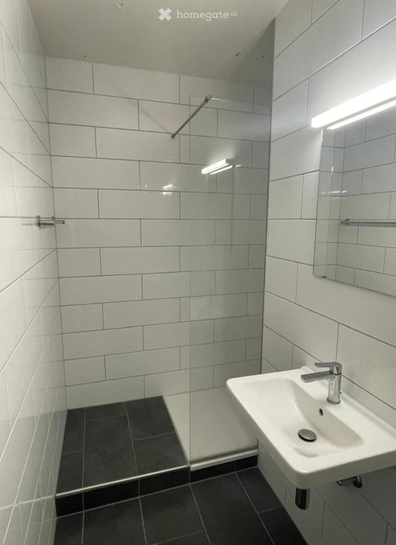 Charmant Studio 31 m2 - Cuisine équipée - Balcon - Ascenseur (3)