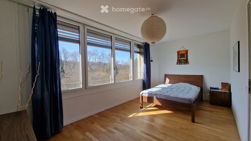 Reprise de bail - Duplex de 3,5 pièces (5)
