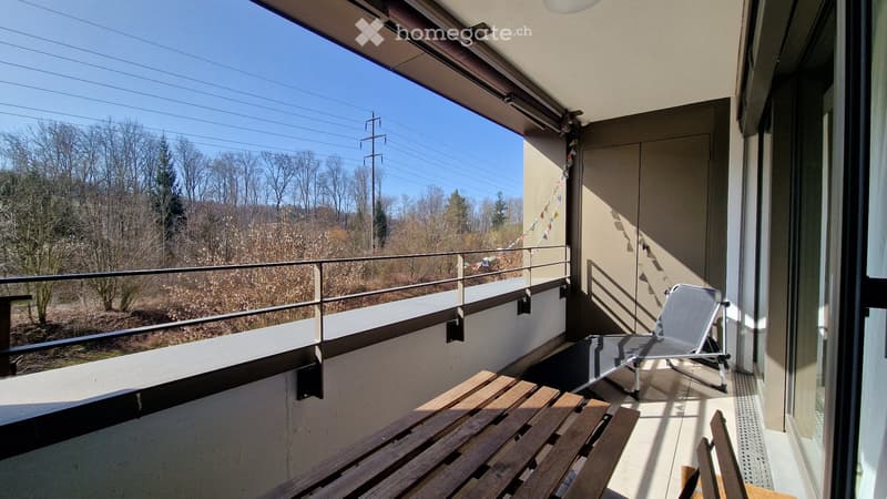 Reprise de bail - Duplex de 3,5 pièces (2)