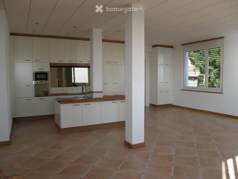 Appartement Loft dexception entre habitation et espace pro (5)
