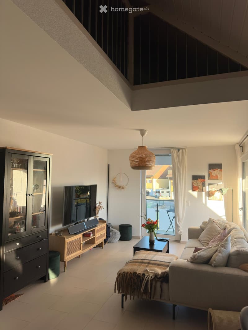 Duplex lumineux en attique (3)