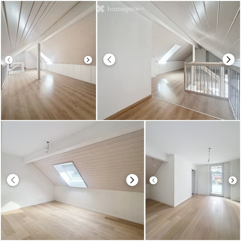 Duplex lumineux en attique (2)