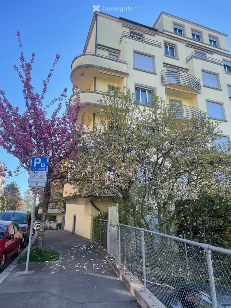 Appartement centre-ville 3.5 pièces (10)