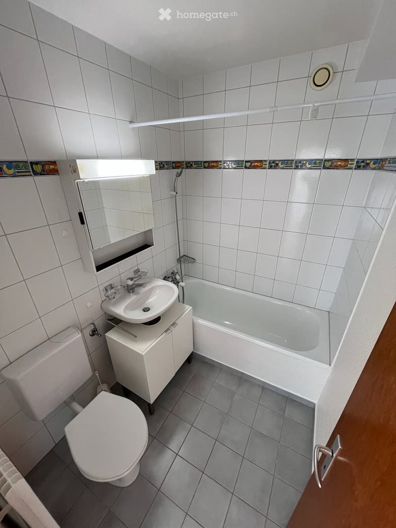 Appartement de 2 pièces à louer (7)