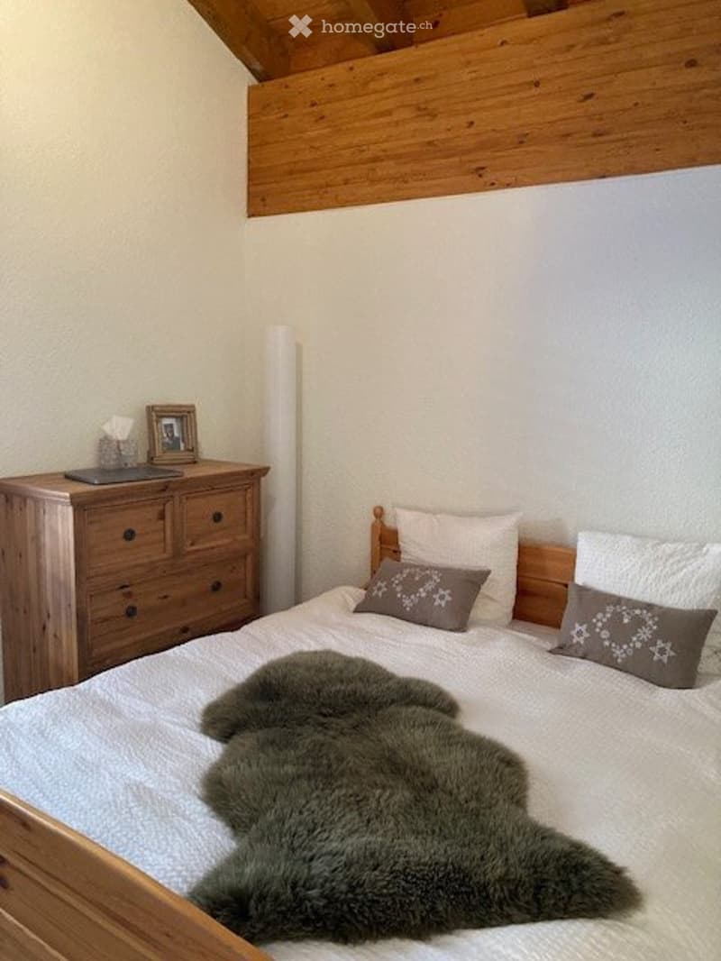 Superbe Duplex Attique (5)