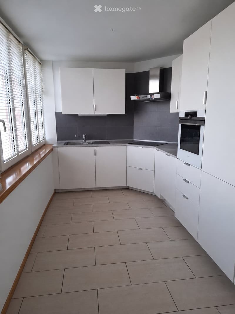 Magnifique appartement avec vue sur le lac (3)