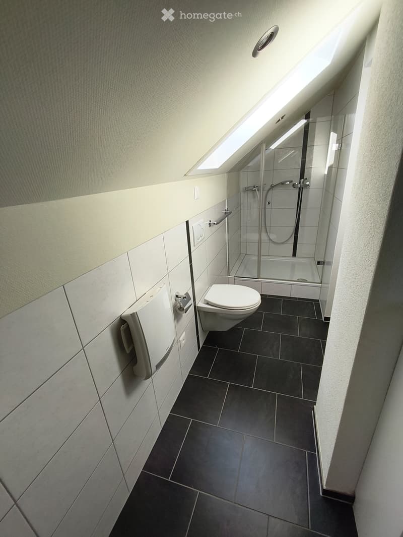 Appartement de 2 pces lumineux et meublé au 2ème étage (3)