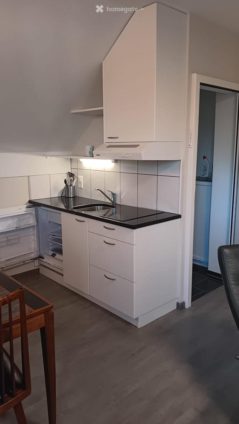 Appartement de 2 pces lumineux et meublé au 2ème étage (4)