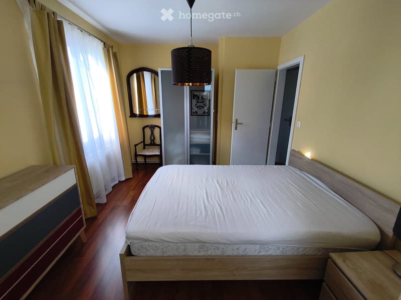 Appartement de 2 pces lumineux et meublé au 2ème étage (2)