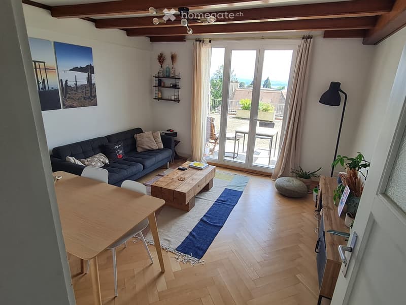Appartement avec grande terasse 3,5p (2)