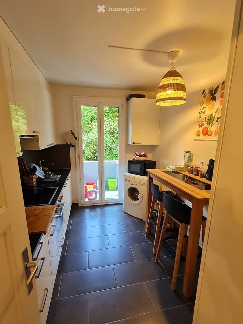 Appartement avec grande terasse 3,5p (5)