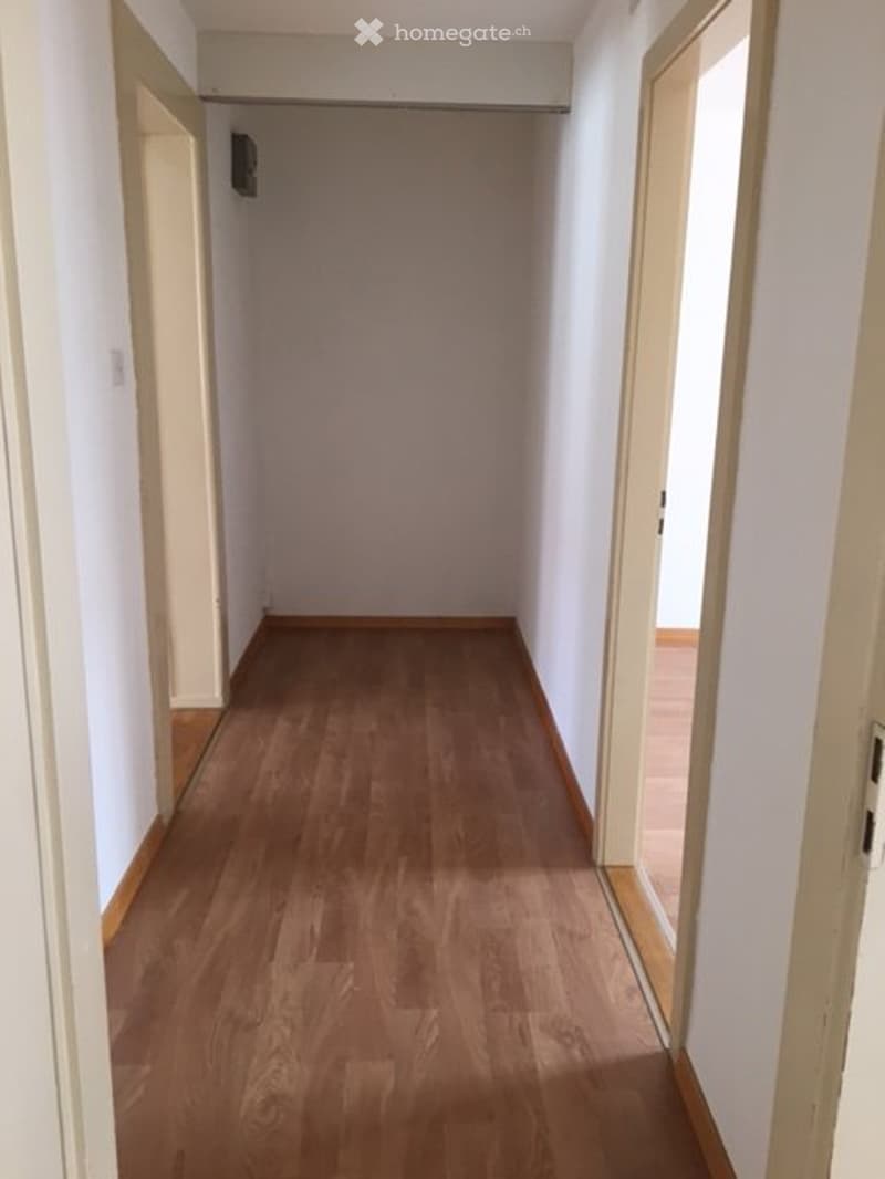 Appartement de 4,5 pièces (3)