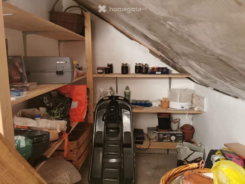 Reprise de bail appartement avec cheminée (3)
