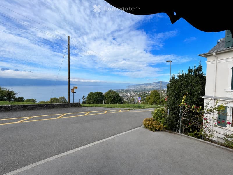 Tiny House à louer avec magnifique vue sur le lac Léman (5)