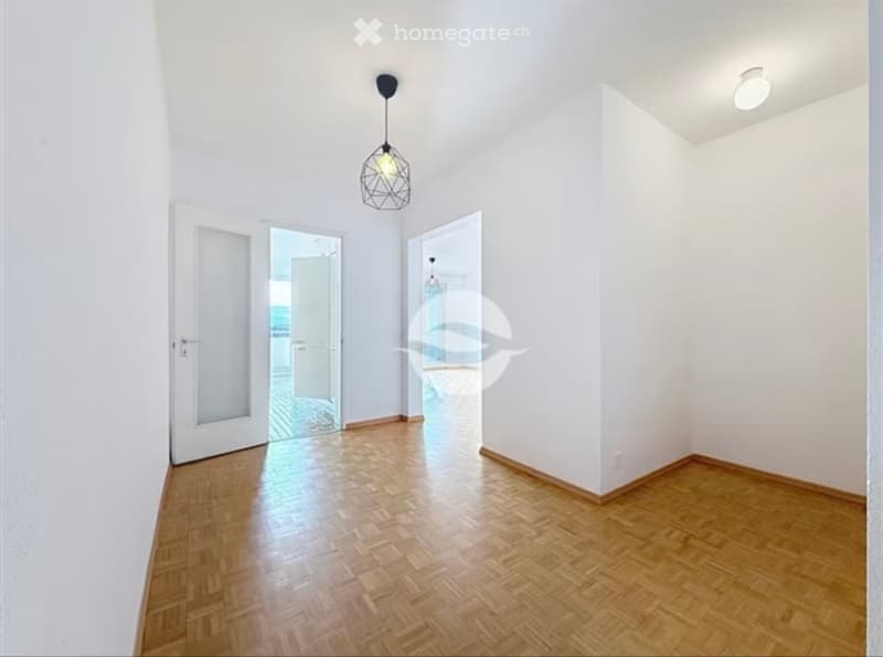 Appartement 4p de 92 m2 au 8e étage - vue lac (4)