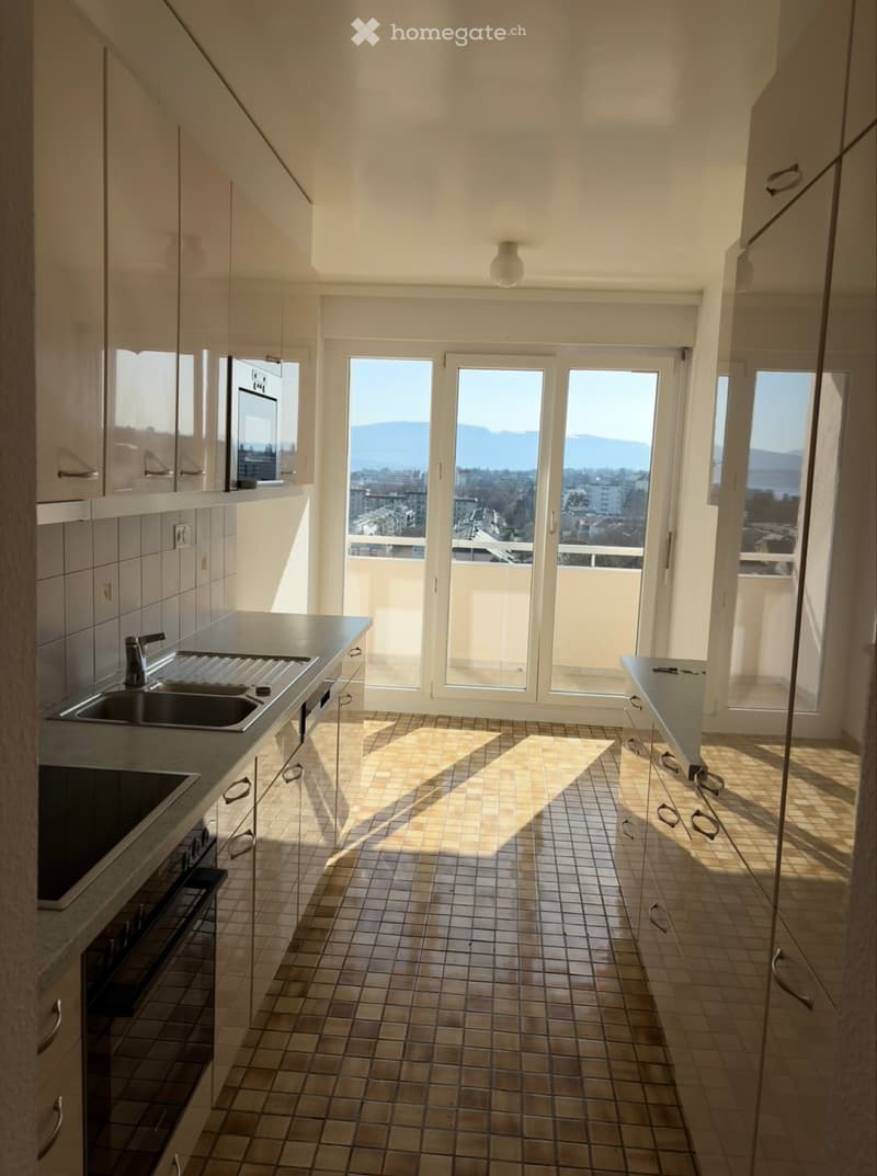 Appartement 4p de 92 m2 au 8e étage - vue lac (3)