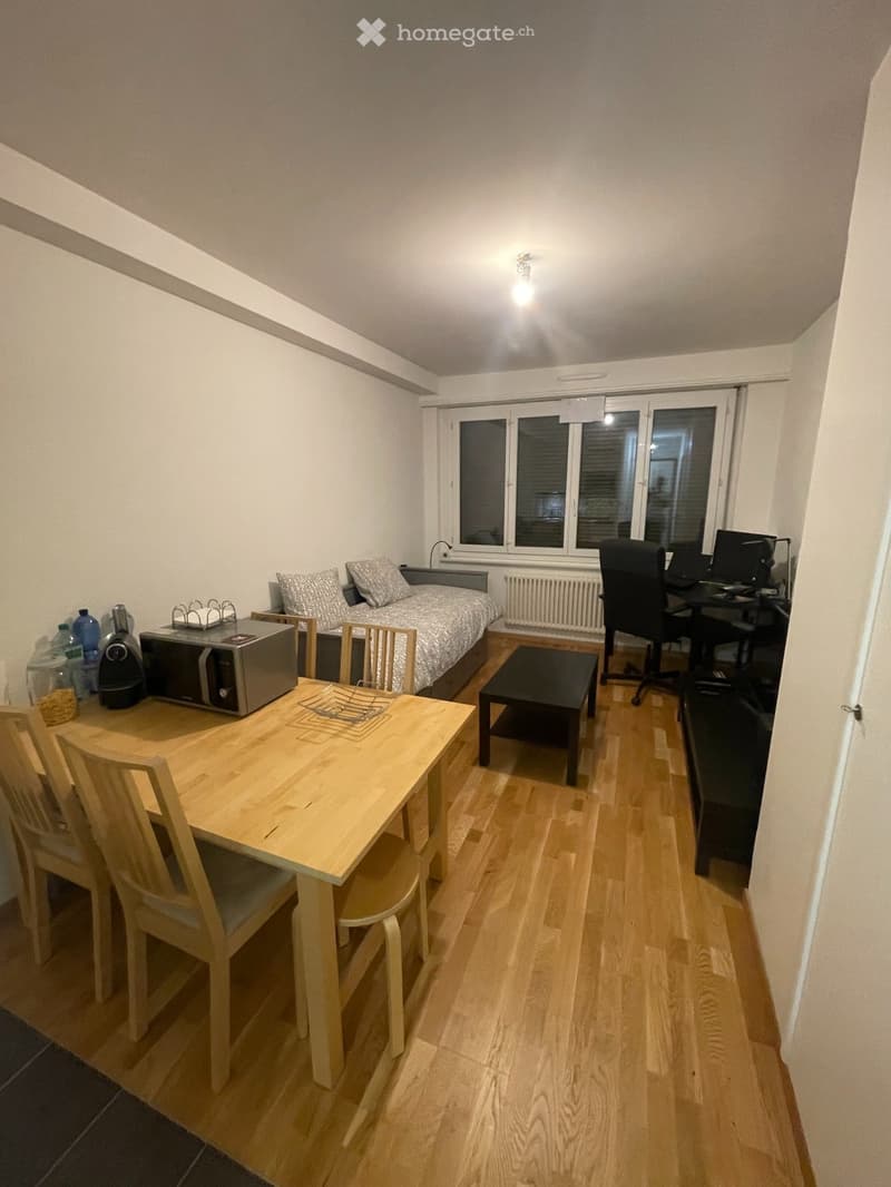 Studio in Genève - Rue de Navigation (3)
