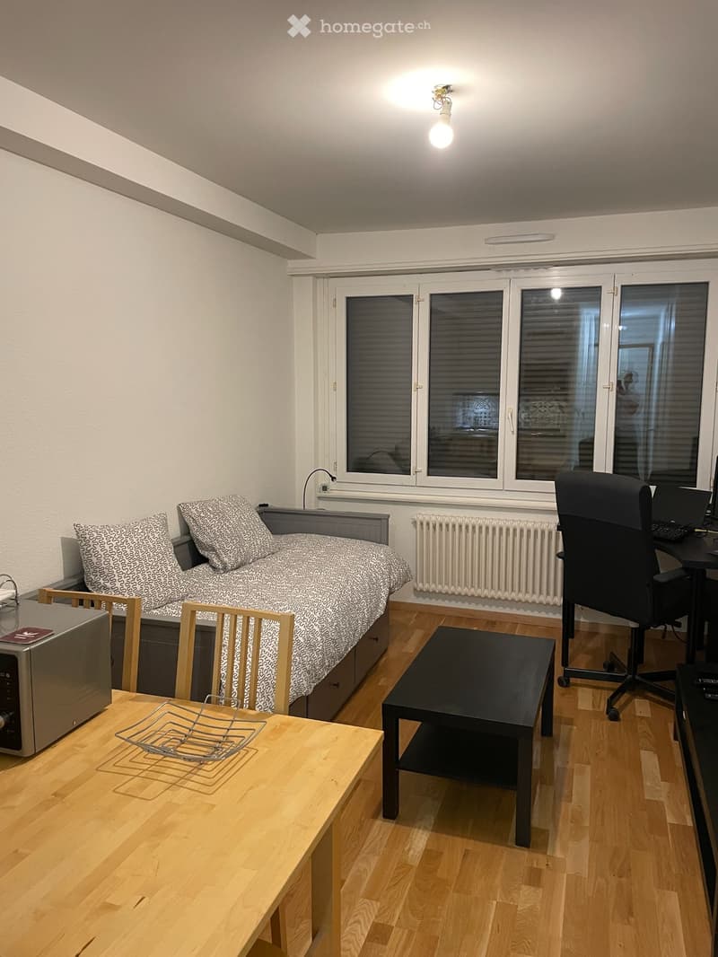Studio in Genève - Rue de Navigation (4)