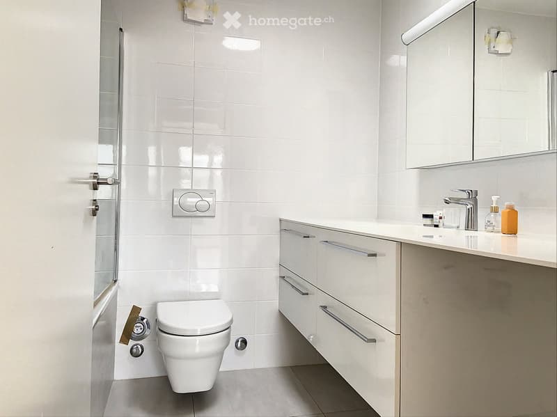 Appartement en attique 3.5 pièces (5)
