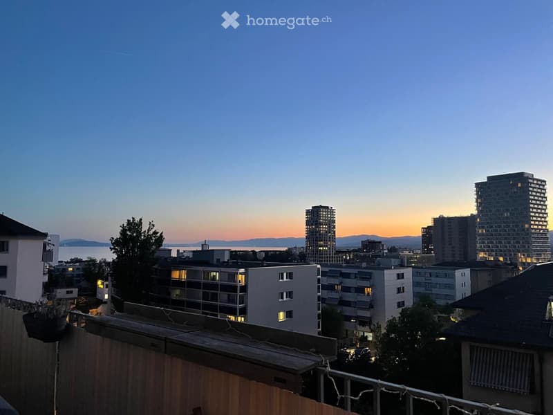Appartement en attique 3.5 pièces (2)