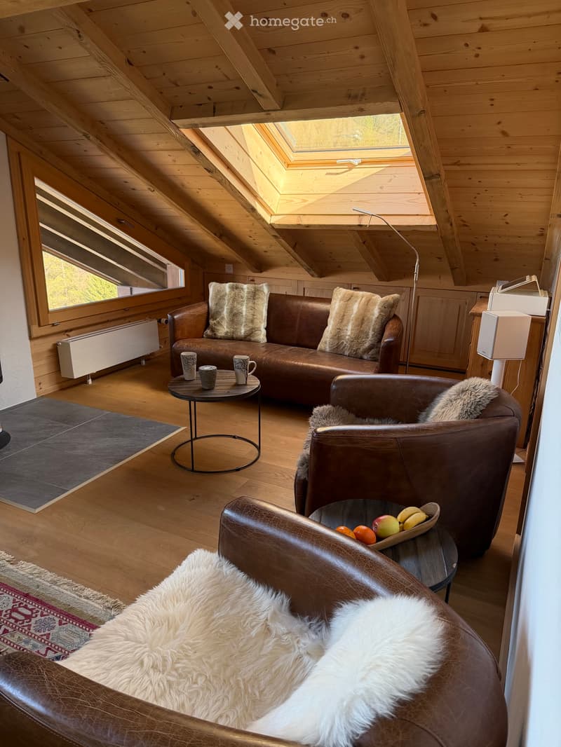 Magnifique duplex, lumineux et traversant (2)