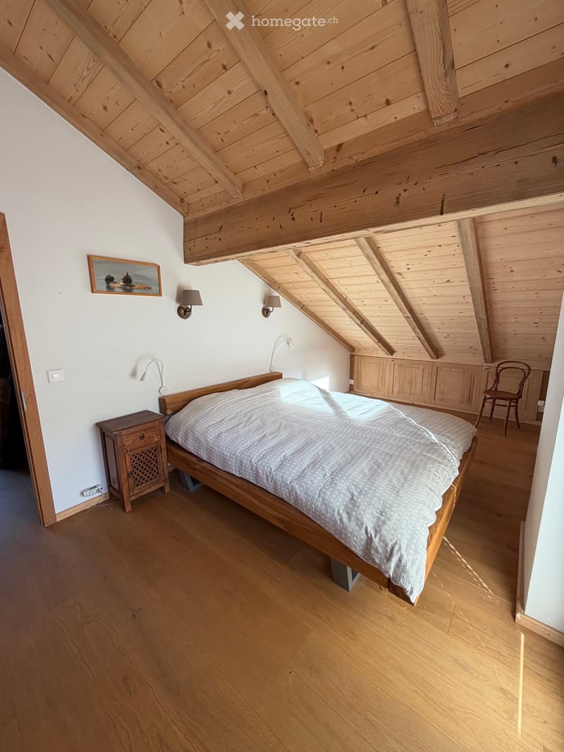 Magnifique duplex, lumineux et traversant (5)