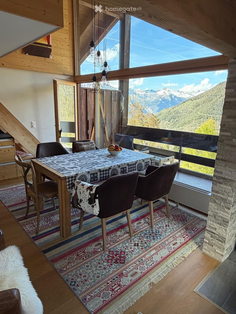 Magnifique duplex, lumineux et traversant (1)