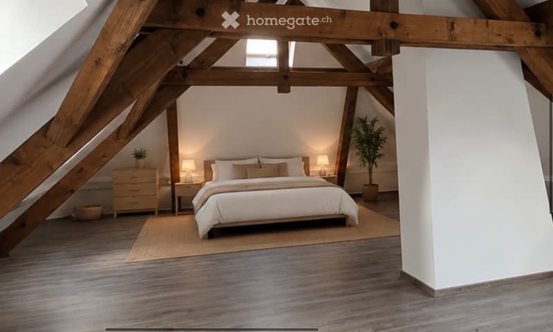 Splendide Attique lumineux (3)