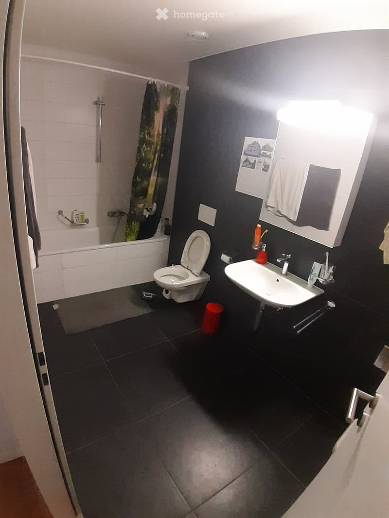 2 Room available for sublease near UNIL/EPFL in Lausanne (2)