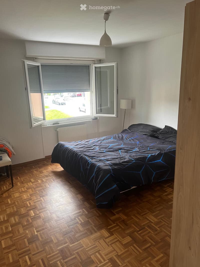 Appartement à remettre  disponible de suite ou à convenir (4)