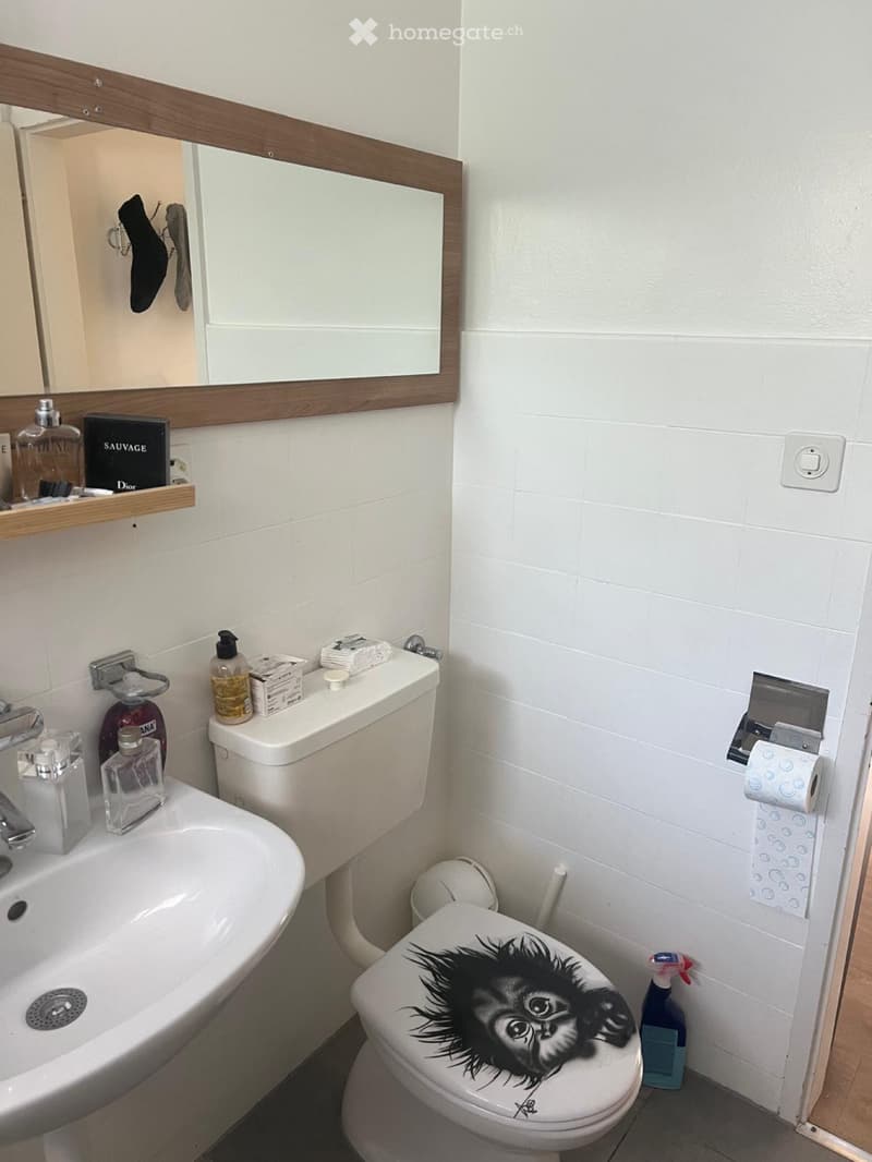 Appartement à remettre  disponible de suite ou à convenir (5)