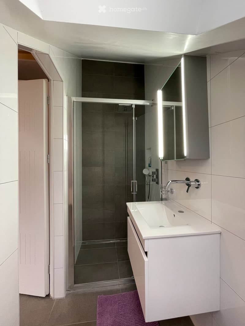 2 pièces (chambre double) à louer (3)