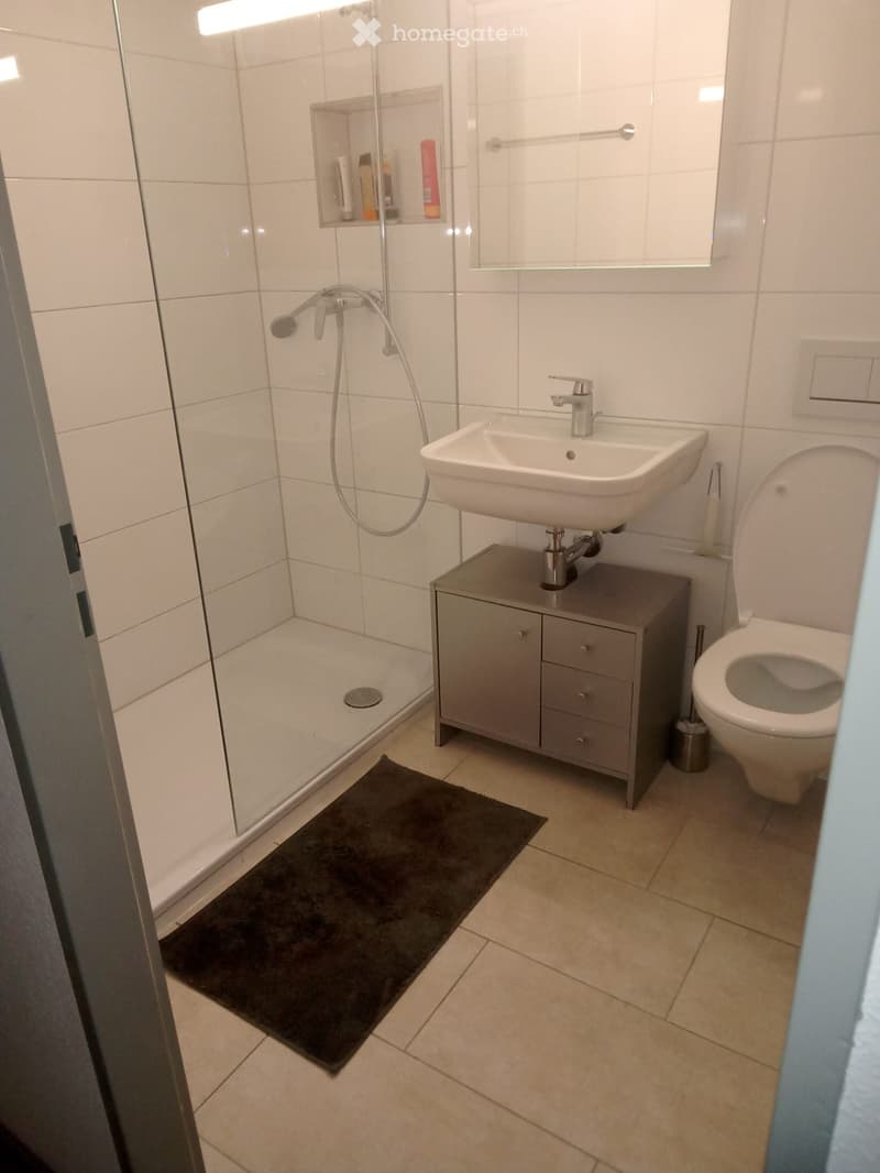 Möblierte Zimmer nähe Zürich in Spreitenbach (3)