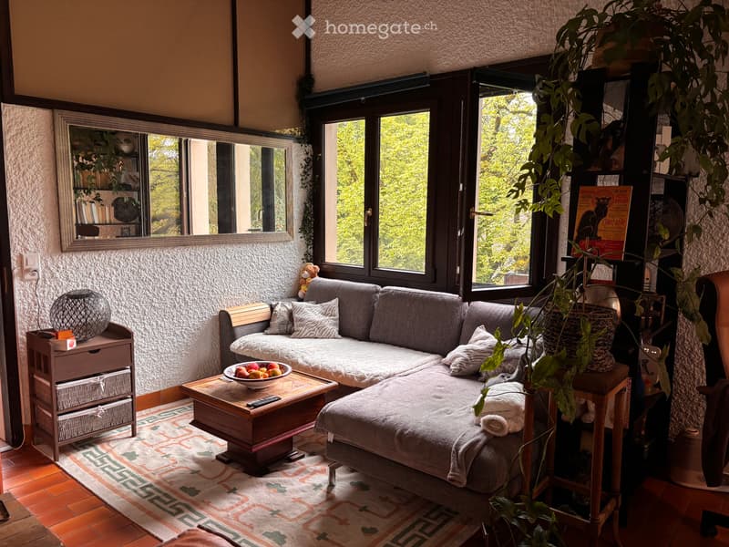 Chambre meublée (4)