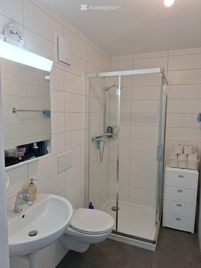 Appartement à louer Domdidier (4)