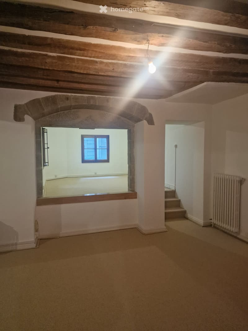 Vieille ville - Elégant 3 pièces d'exception - 98m2 (3)