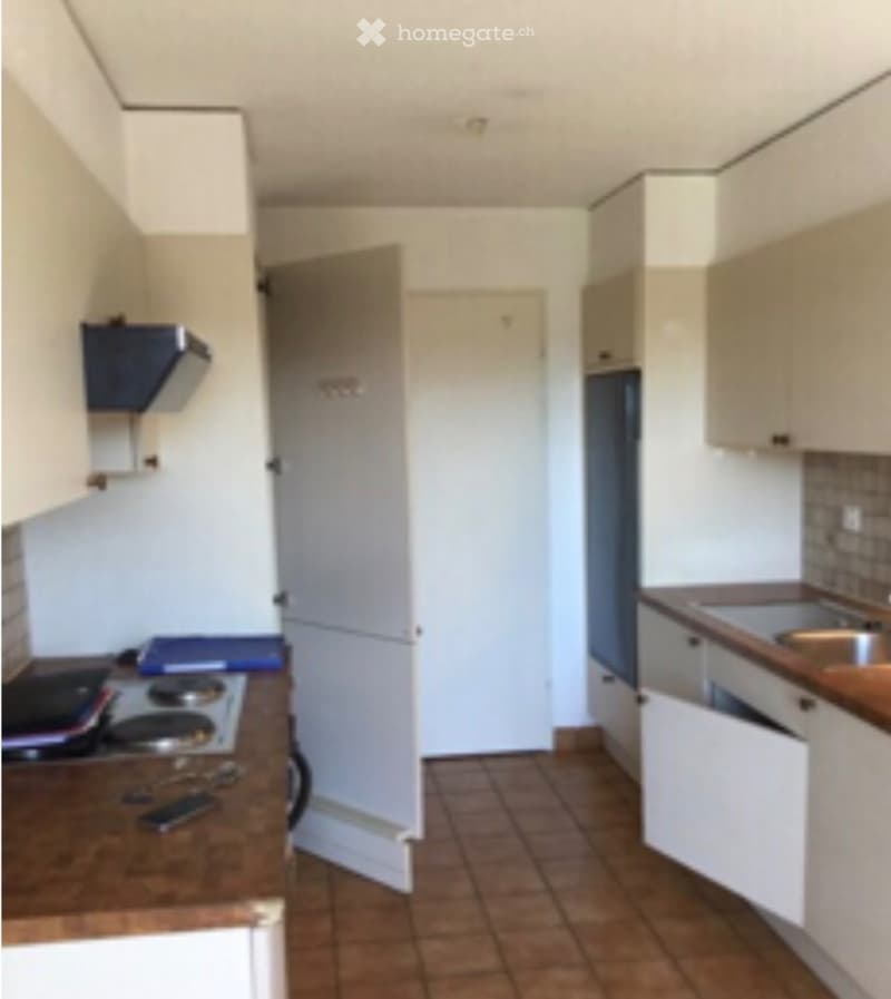 3.5 pièces bel appartement lumineux au dernier étage (5)