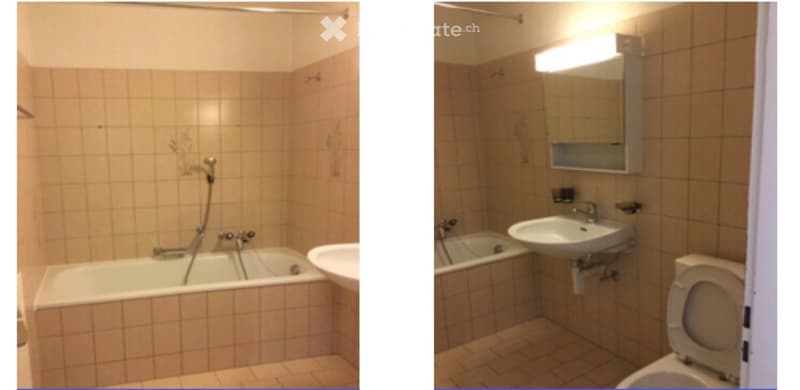 3.5 pièces bel appartement lumineux au dernier étage (4)