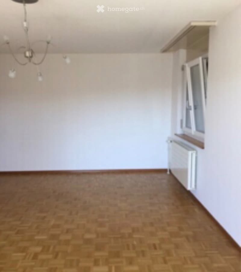 3.5 pièces bel appartement lumineux au dernier étage (3)