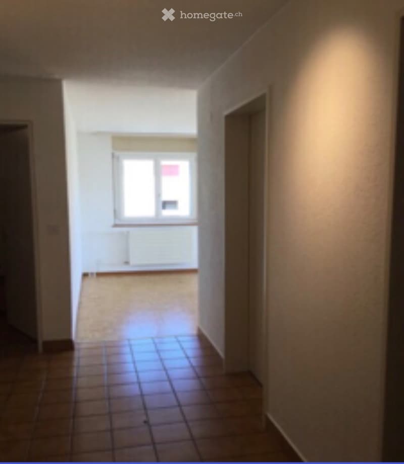3.5 pièces bel appartement lumineux au dernier étage (2)