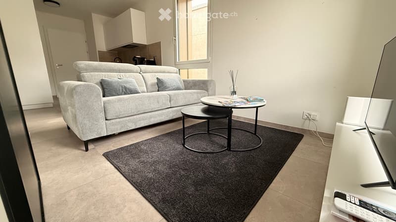 Logement de standing proche de la gare de Cully et du lac (5)
