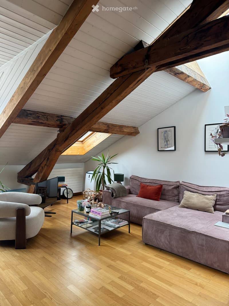 Appartement traversant en sous-location 6 mois Eaux-Vives (1)