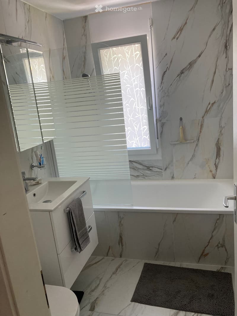 Joli appartement 3,5 pces lumineux (2)