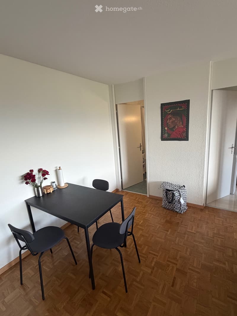 Appartement meublé 2.5 avec vue panoramique (2)