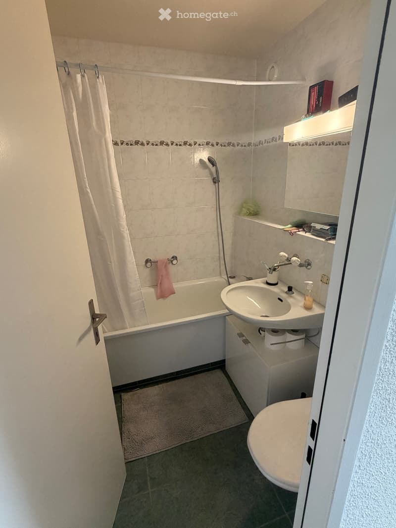 Appartement meublé 2.5 avec vue panoramique (5)