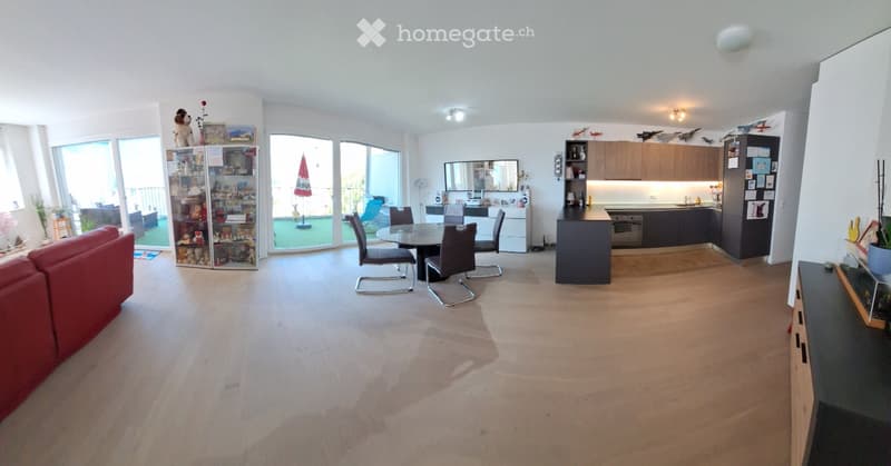 Appartement de 4.5 pièces 121m2 avec balcon de 20m2,avec vue (4)
